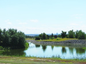 The 20-acre parcel offered to Logan County by Alan and Julie Gentz includes ponds, wildlife and a view of Sterling. Years after the easement was transferred to the county, the Colorado Department of Revenue determined the easement of "zero value" and billed the Gentzes for the taxes.A court case was heard on Tuesday regarding the matter. (SPS Photo by Forrest Hershberger)